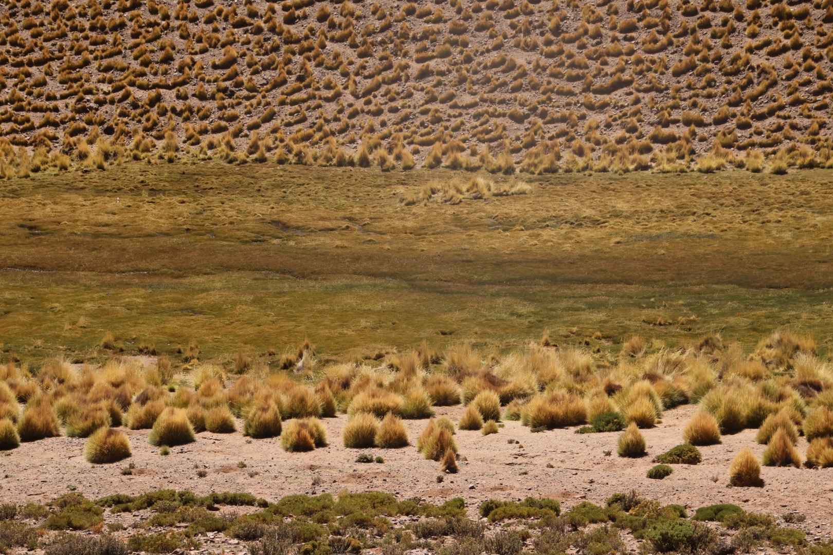 Puna Landscapes - Geometries and Cartographies